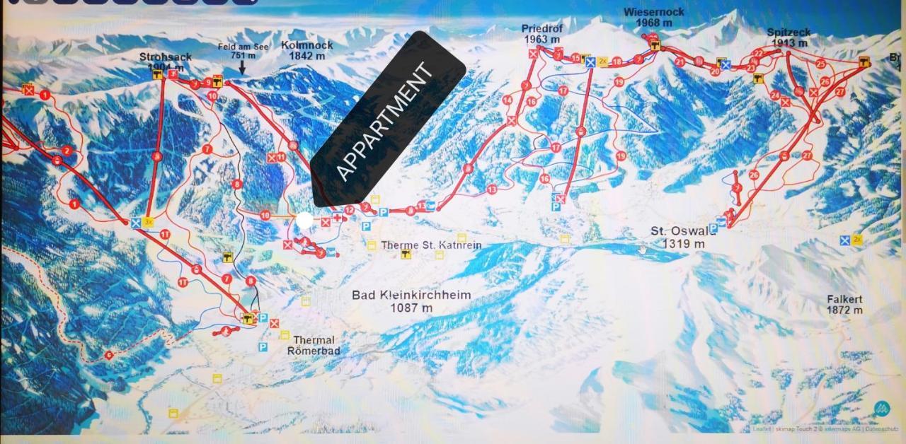 Panoramaalm - Ski In - Ski Out 바트키르히하임 외부 사진